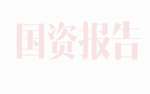 新加坡淡马锡公司考察报告(新加坡财政部下属投资公司)
