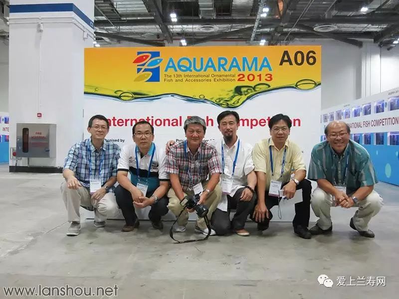 新加坡的（Aquarama）国际金鱼大赛(新加坡最有名的观赏鱼公司)