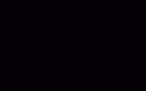 建设工程担保制度概述(新加坡公司业务保证金制度)