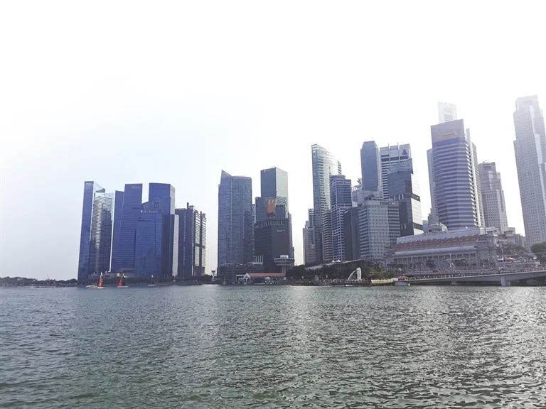 海南借鉴新加坡建设自贸港的4点经验3个启示(新加坡自由贸易公司有哪些)
