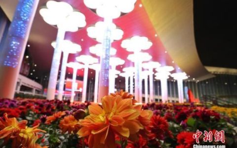 王炳南：欢迎中新两国企业利用进博会推动全球服务贸易发展(新加坡大陆贸易公司地址)