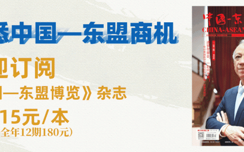 新加坡：争做新能源汽车领域的“高端玩家”(新加坡有汽车行业的公司吗)