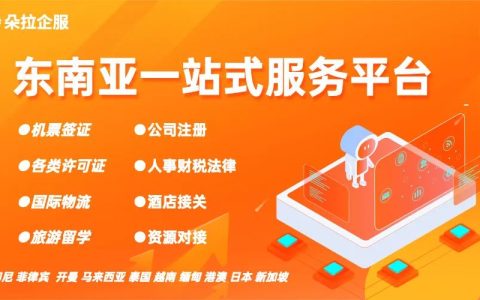 【东南亚政策】新加坡公司注册指南(新加坡公司 报表)