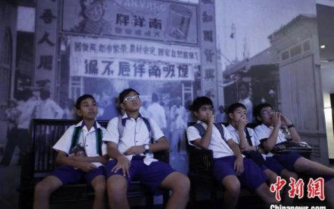 东西问 | 刘宏：“本土化”与“跨国性”交织，新加坡华人新移民身份认同如何嬗变？(新加坡东洋公司)