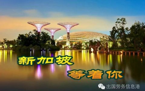 新加坡最新招工信息(新加坡公司信息)