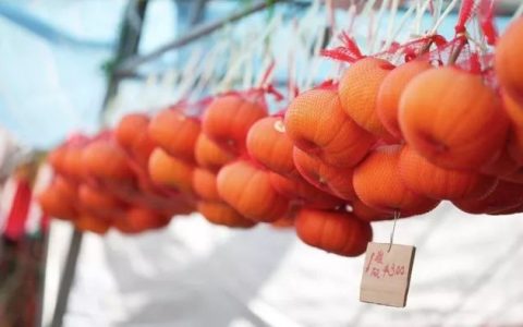 在新加坡过农历新年：花式感受“年味”(欢聚新加坡公司)