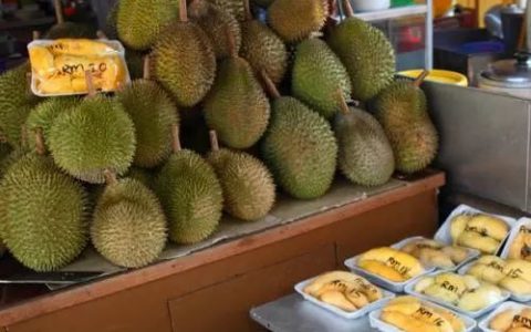 马来西亚要来中国办榴莲节，新加坡慌了(新加坡公司 广西)