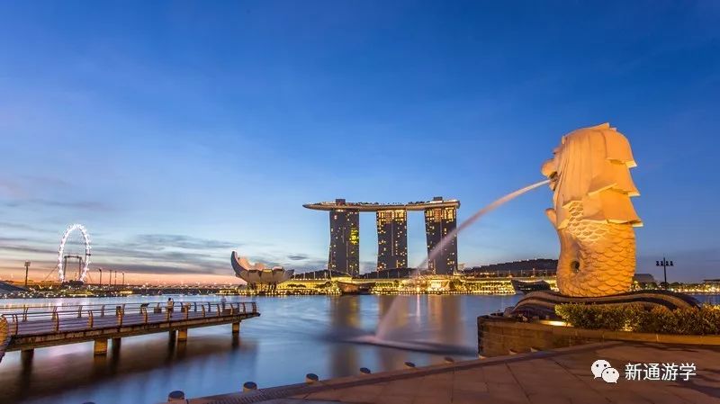 新加坡官方学习交流与文化探索课程(新加坡官方公司)