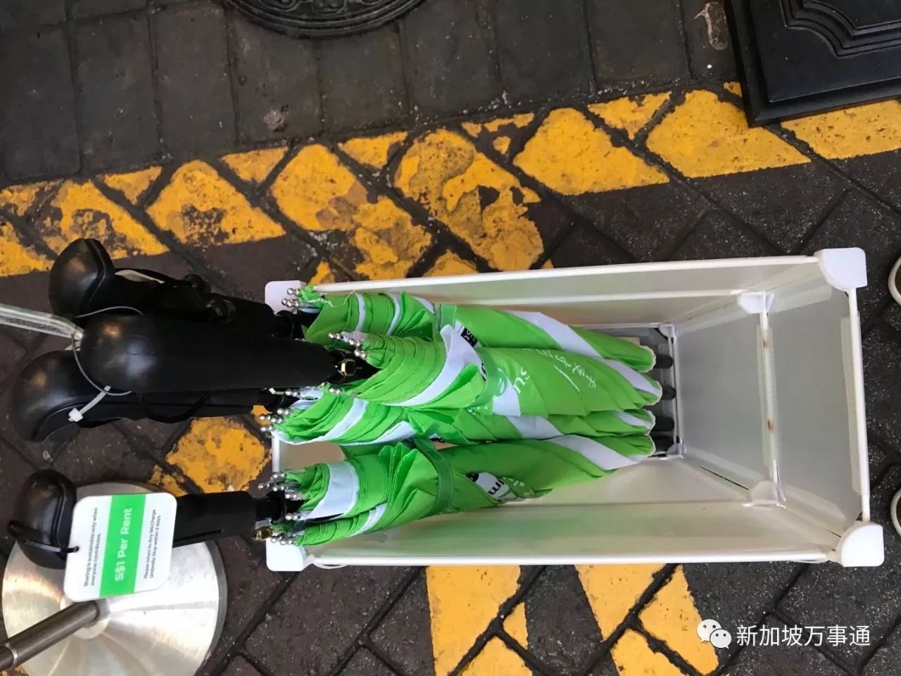新加坡的素质危机：共享雨伞拿走不还，共享单车屡遭惨虐！！！(新加坡雨伞公司)