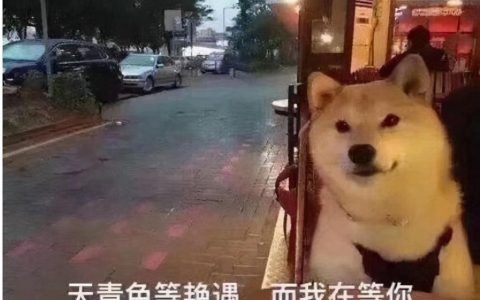 新加坡一小波新政热热身，单身汉可自行租赁组屋啦(新加坡租赁公司)