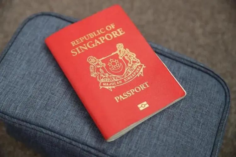 新加坡创业移民签证续签三种类型解析(新加坡公司 查询)
