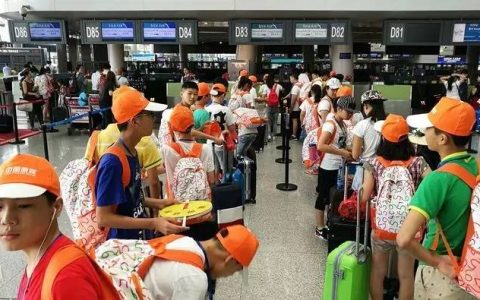 转换视听空间的收获——新加坡游记(新加坡盆景公司)