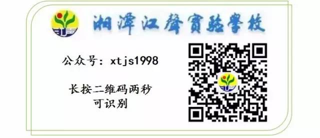 转换视听空间的收获——新加坡游记(新加坡盆景公司)