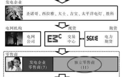 电力市场 | 王 鑫等 新加坡电力期货市场的形成与发展(新加坡公司用电)