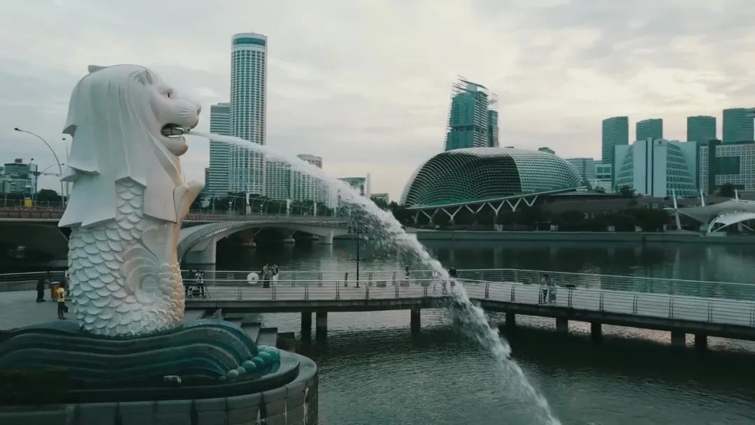 罗 翔  曹慧霆  沈 洁 | 新加坡城市功能融合及其对浦东新区的启示(浦东新加坡公司)