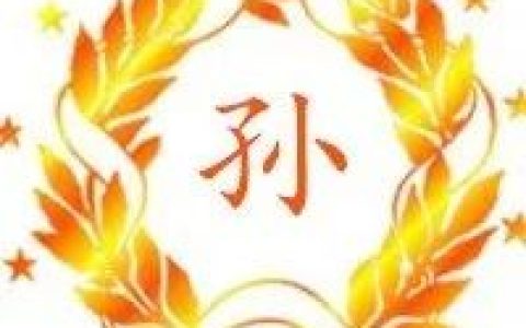 霸气！孙姓居然遍布全球！海外孙氏居然有3000多万！(新加坡东渡公司)