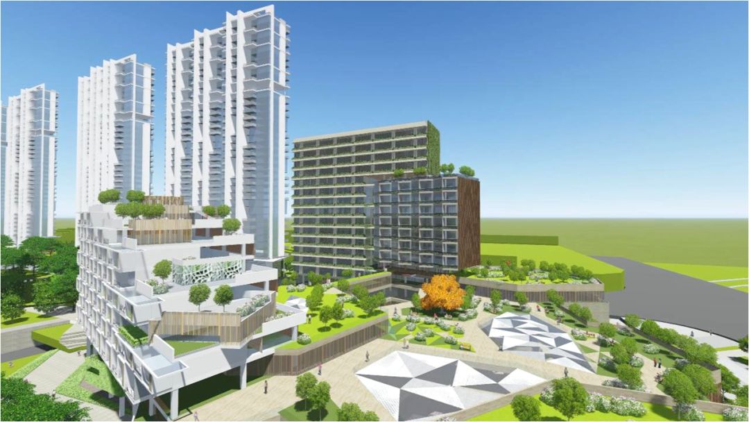 重磅！共青城将要建一座“新城”—新加坡国际健康城！(新加坡新城公司)