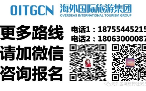 全球签证办理(新加坡公司盖章)
