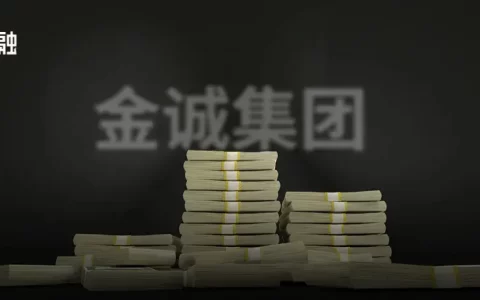 曾坐拥5700亿！金诚财富集资诈骗案首批一审宣判！骗局大起底(新加坡骗局公司)