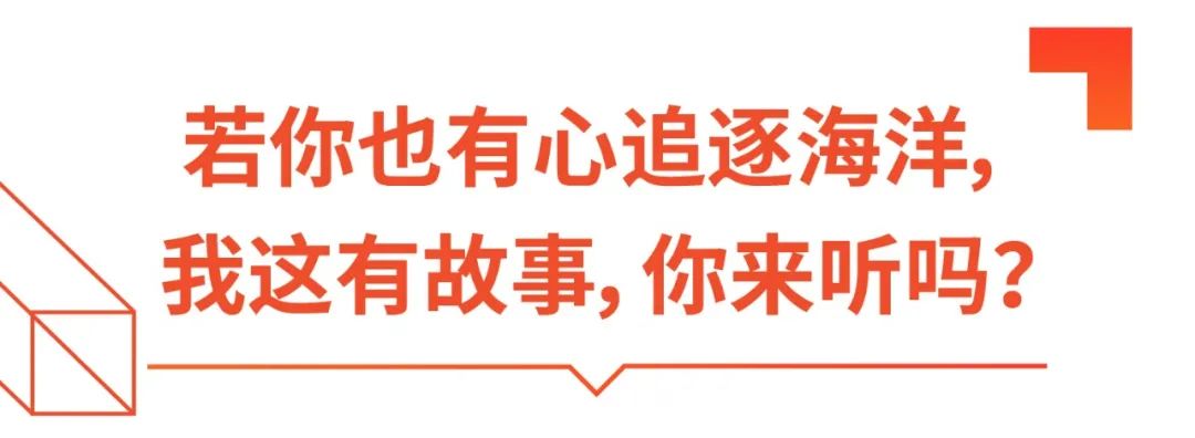 不拘鱼缸，只逐海洋 | 他们与东南亚Top 1电商Shopee的故事(新加坡鱼缸公司)