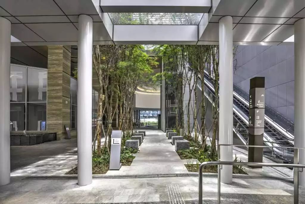 城市森林：新加坡商业联合会中心景观(新加坡风景公司)