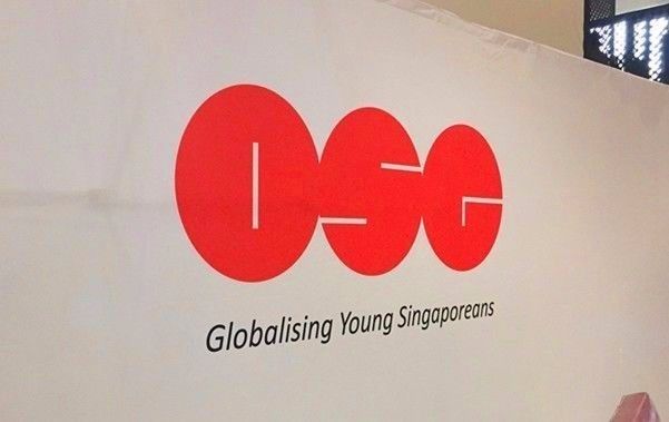网信控股CEO陈志雄受邀参加新加坡人在华金融科技及创业座谈会(在华 新加坡公司)