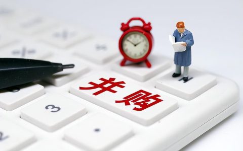 A股：5大公司吸收合并等重大事项公告(湛江新加坡公司)