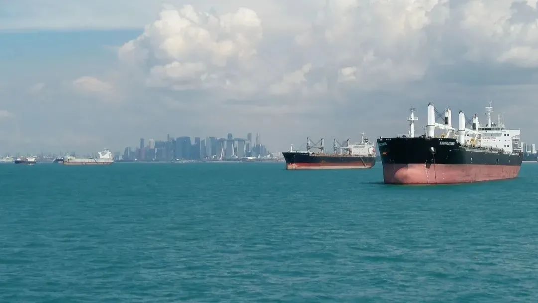 “双碳”有招｜轮船新加坡积极践行绿色航运(新加坡绿色公司)