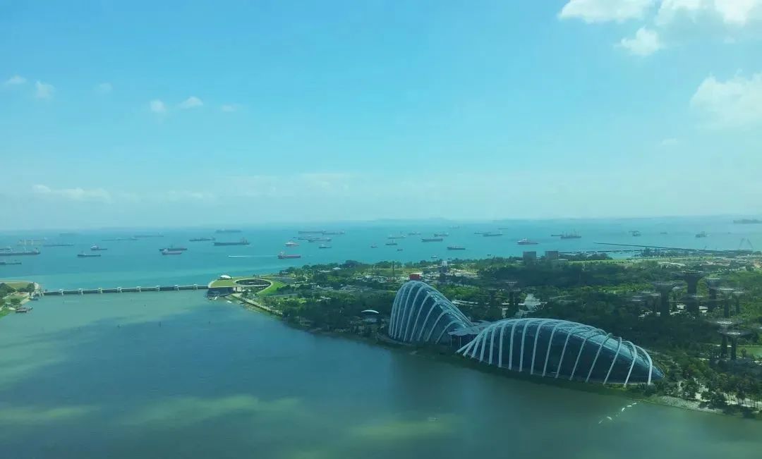 “双碳”有招｜轮船新加坡积极践行绿色航运(新加坡绿色公司)