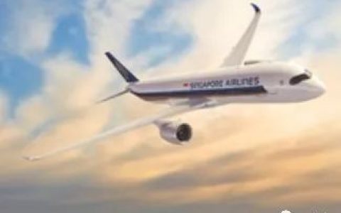 新加坡航空公司客户登录账户时看到陌生人的个人数据(新加坡航公司)
