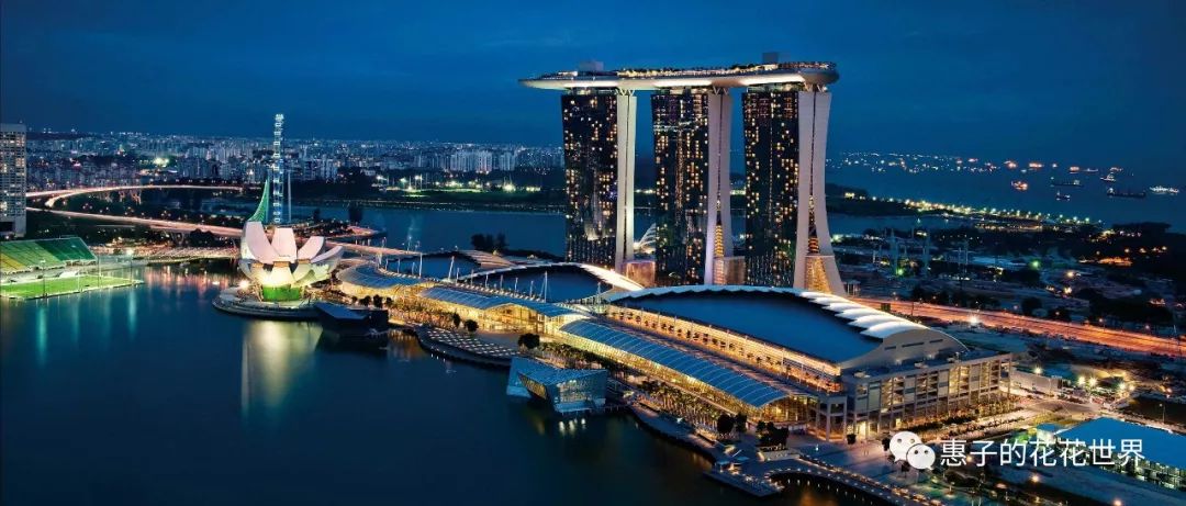 新加坡签证攻略(新加坡公司 签证)