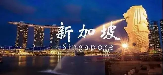 外贸公司选择了新加坡公司 应该如何进行注册及维护(新加坡公司怎么注册公司)