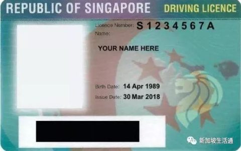干货！手把手教你把中国驾照换成新加坡驾照(新加坡驾照翻译公司)