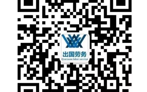 新加坡公交公司招聘公交司机(河南新加坡公司年审)
