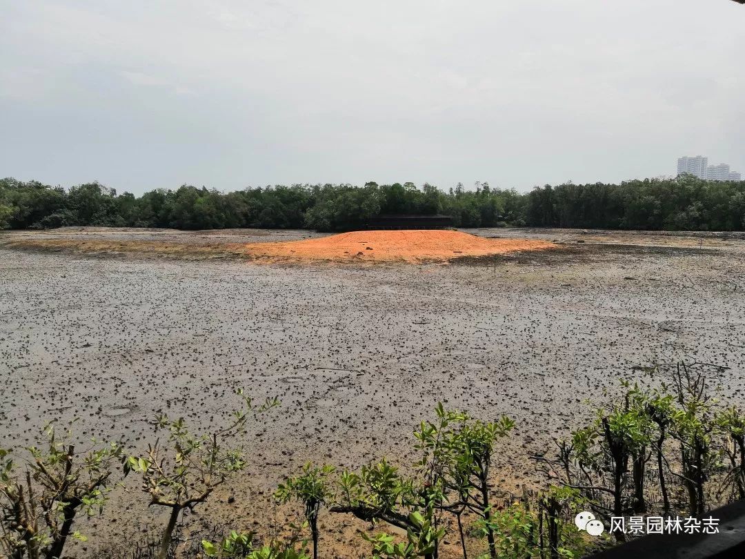 中国风景园林学会及《风景园林》代表团到访安博戴水道新加坡办公室(新加坡景观绿化公司)