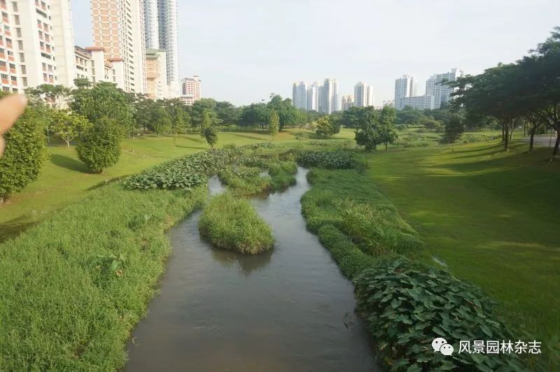 中国风景园林学会及《风景园林》代表团到访安博戴水道新加坡办公室(新加坡景观绿化公司)