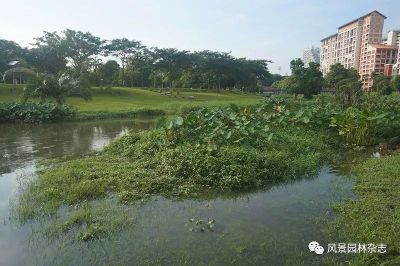 中国风景园林学会及《风景园林》代表团到访安博戴水道新加坡办公室(新加坡景观绿化公司)