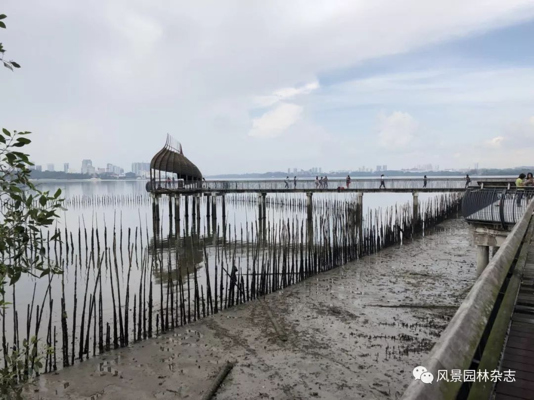 中国风景园林学会及《风景园林》代表团到访安博戴水道新加坡办公室(新加坡景观绿化公司)