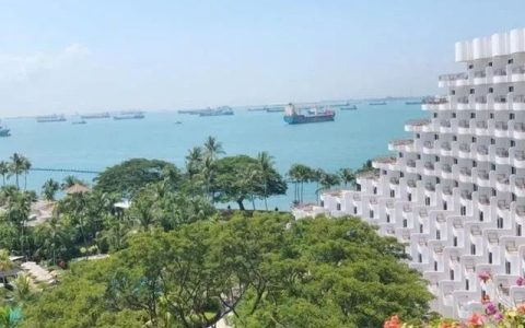 新加坡是一个怎么样的国家？(新加坡知名大型公司)