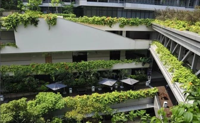 新加坡8个经典绿色建筑(新加坡绿墙公司)