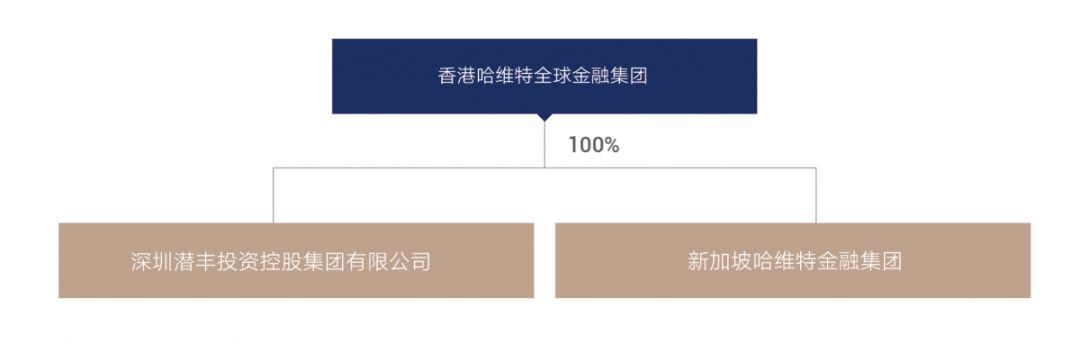 新加坡哈维特金融集团成立哈维特（中国）控股全资子公司(新加坡全资子公司)