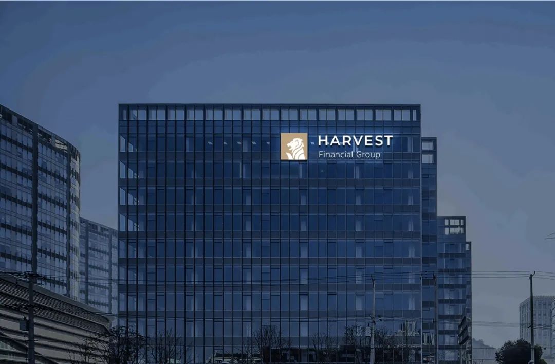 新加坡哈维特金融集团成立哈维特（中国）控股全资子公司(新加坡全资子公司)