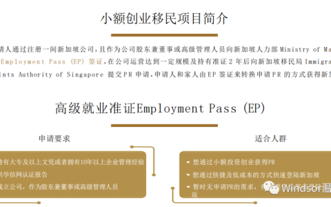 超火超划算的新加坡小额创业移民(新加坡公司对公账户)