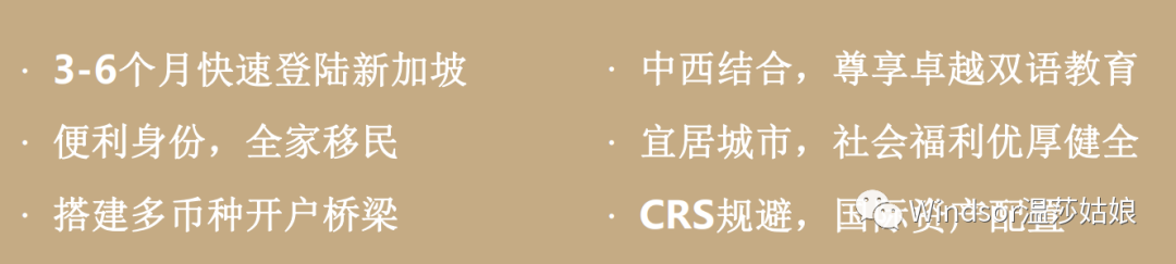 超火超划算的新加坡小额创业移民(新加坡公司对公账户)