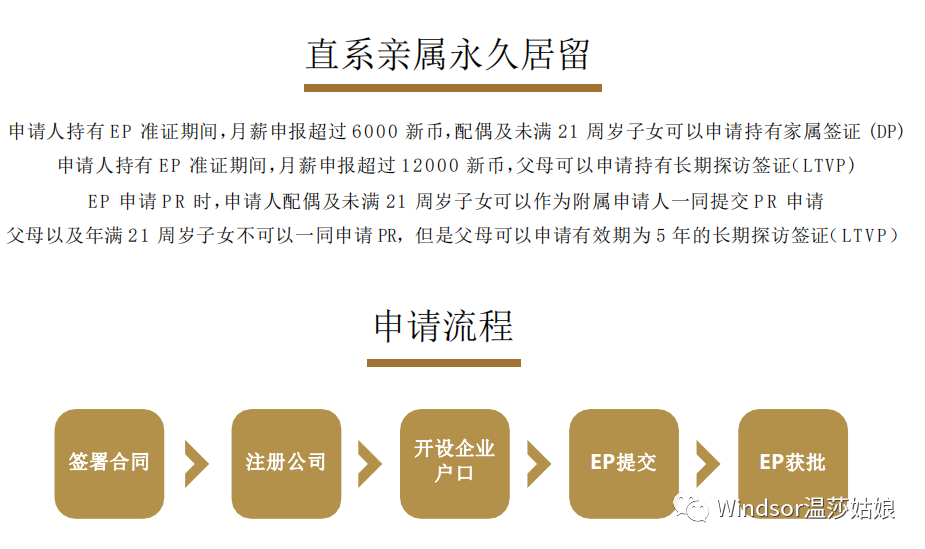 超火超划算的新加坡小额创业移民(新加坡公司对公账户)