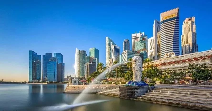 新加坡公司发展(新加坡公司做账报税)
