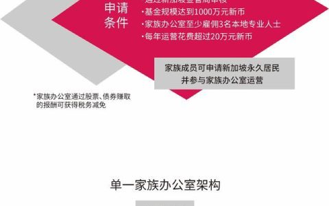 一分钟解读新加坡GIP方案(新加坡公司税17%)