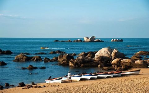 风口上的海南(新加坡海南农业公司)