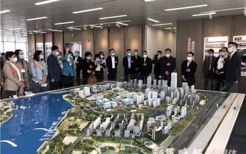 上海市政协开展年末视察活动 为引领区推进国际经济组织集聚献计献策(新加坡上海展览公司)