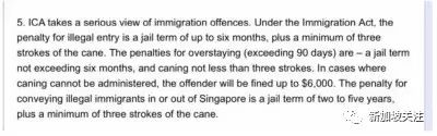 拿着旅游签在新加坡，逾期逗留遭鞭刑？有些事，入坑再明白就晚了(新加坡注册逾期公司)